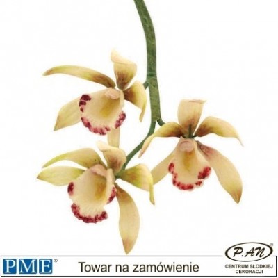 Wykrawaczka-Orchidea-8 szt.-PME_103FF038 fot. 1
