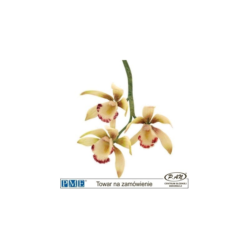 Wykrawaczka-Orchidea-2 szt.-PME_103FF037