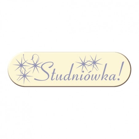 Pasek 60x17mm - 100szt. - DCN257B